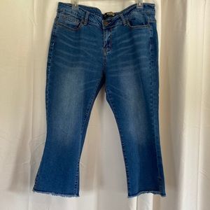 Suzanne Betro Denim blue capris. Size 14 Inseam 20” Like new.
